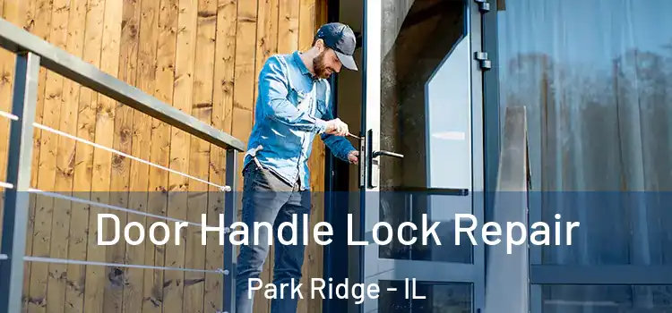 Door Handle Lock Repair Park Ridge - IL