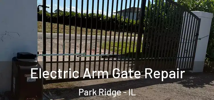 Electric Arm Gate Repair Park Ridge - IL
