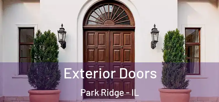 Exterior Doors Park Ridge - IL