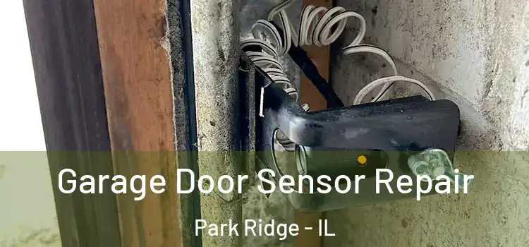 Garage Door Sensor Repair Park Ridge - IL