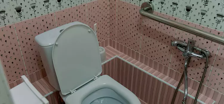 Meeting Diverse Needs With Accessible Restroom Solutions in Park Ridge, IL