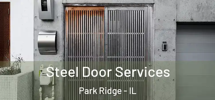 Steel Door Services Park Ridge - IL