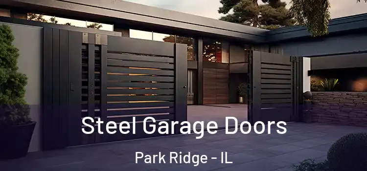 Steel Garage Doors Park Ridge - IL